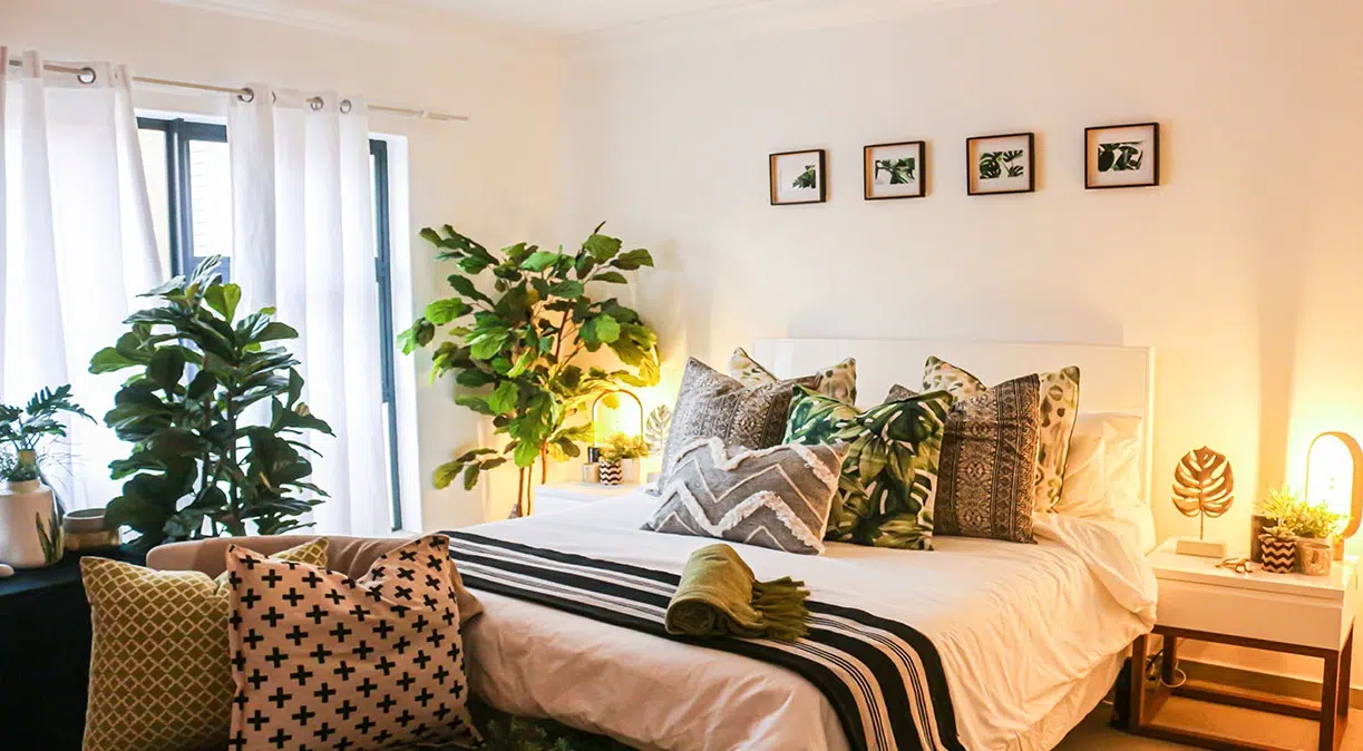 Plantes dans une chambre