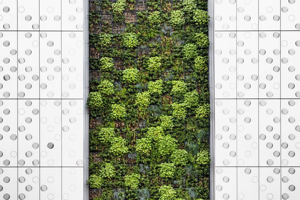 Comment faire un tableau végétal stabilisé ?